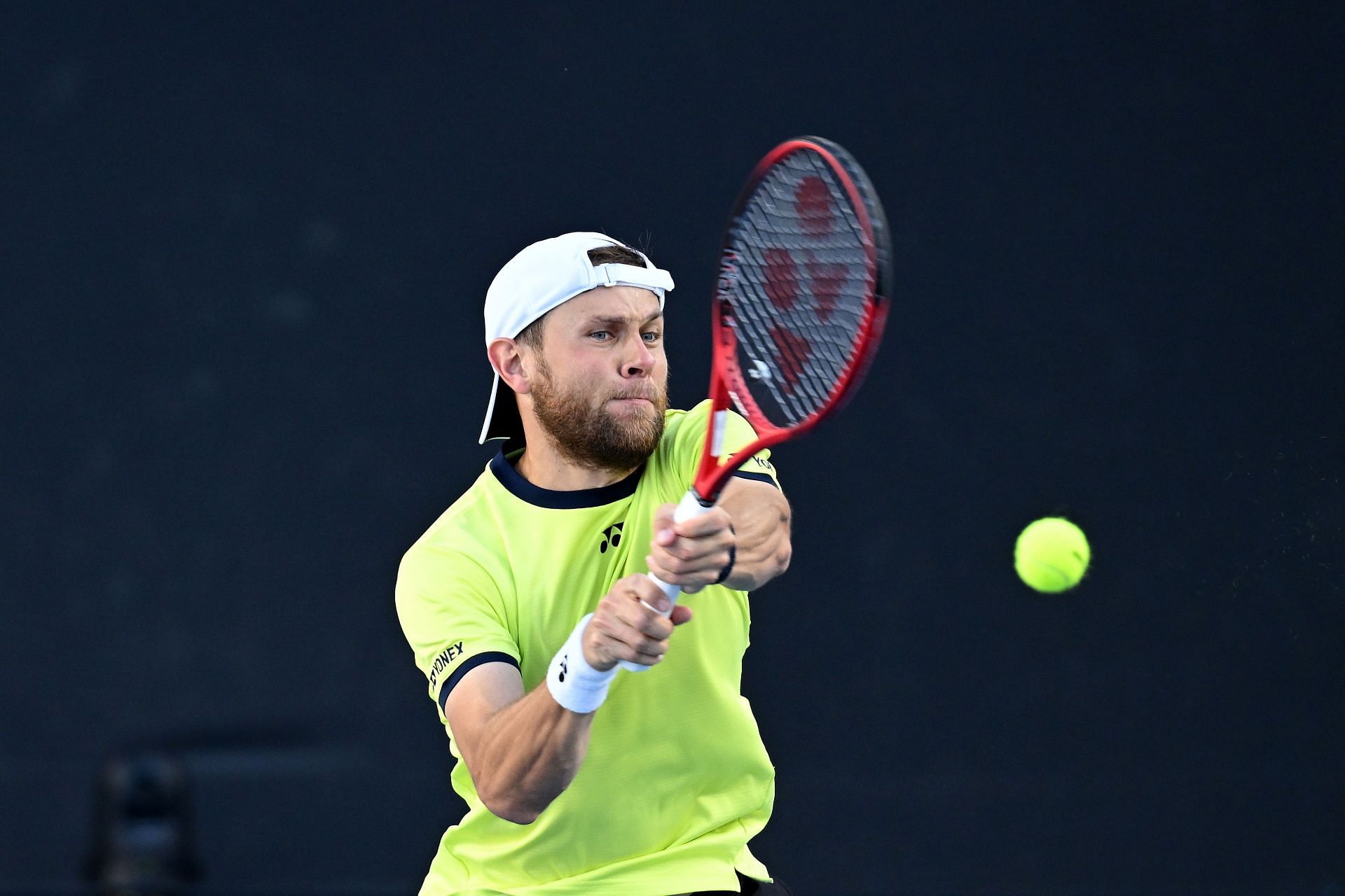Radu Albot